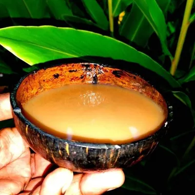 Where to Buy Kava Tea: Everything to Know - DoubleBlind Mag