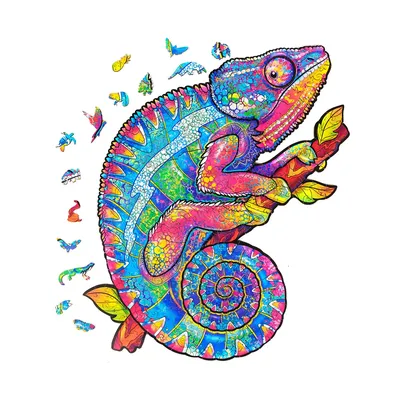 Chameleon calyptatus (Йеменский хамелеон) — Блог Планета Экзотики