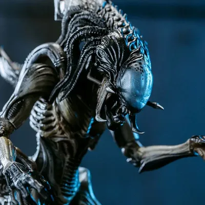 Коллекционная фигурка Хищника AVP 2: Predalien 1/18 ПВХ | AliExpress