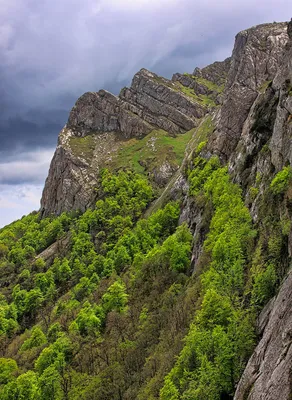 Картинки холодный июнь фотографии