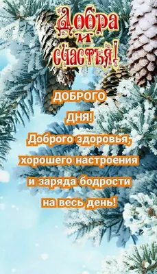 Mark Lev on X: \"Друзья, солнечного хорошего настроения Вам на весь день, на  выходные дни- исследующую неделю. https://t.co/xDqu2LQuT5\" / X