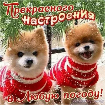 Хорошего настроения в любую погоду! 🌼🌼🌼 Доброго дня! - YouTube