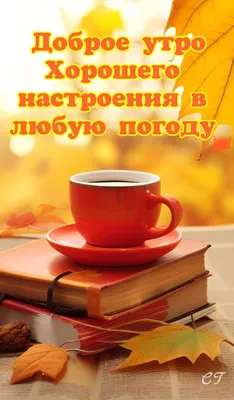 Счастье охотнее заходит в тот Дом, где всегда царит хорошее настроение..  Доброго утра, Тёплого дня нам друзья!... | By Счастье быть любимой |  Facebook