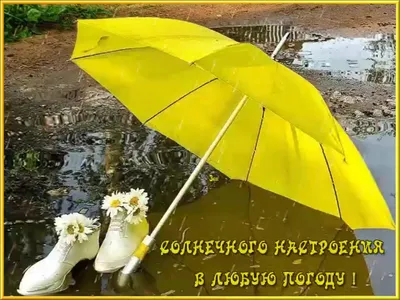 СОЛНЫШКА ВАМ В ДУШЕ 🌞, хорошего настроения в любую погоду 👒🌂💼 |  Instagram