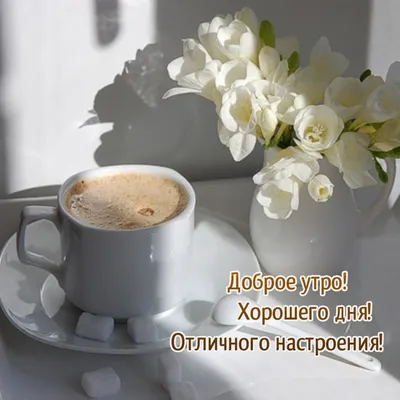 ПЕСНИ ДЛЯ ХОРОШЕГО НАСТРОЕНИЯ ❀ ДУШЕВНЫЕ ХИТЫ ❀ SONGS FOR A GOOD MOOD ❀ 17  ❀ - YouTube