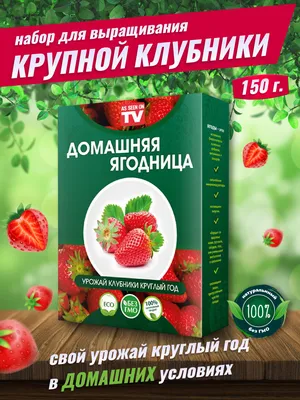 Секрет выбора самой вкусной клубники: ремонтантная или обычная? Раскрываем  все плюсы и минусы! | Дача - это маленькая жизнь | Дзен