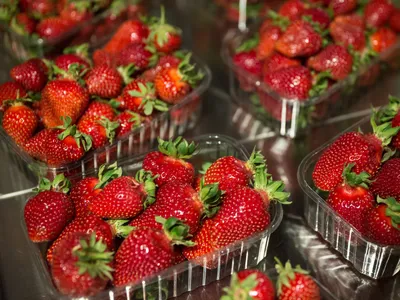 Клубника и земляника 🍓 Их отличия АгроВсесвіт