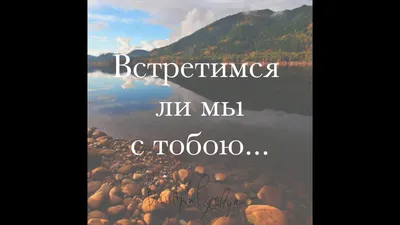 ЗАЧЕМ МЫ ВСТРЕТИЛИСЬ? | БериТаро | Дзен