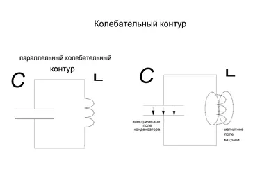 Контур Животных Векторный объект Stock | Adobe Stock