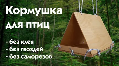 Деревянная кормушка-конструктор для птиц Greengo 0525981: купить за 270 руб  в интернет магазине с бесплатной доставкой