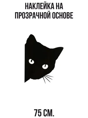 КАК НАРИСОВАТЬ КОТА ЦВЕТНЫМИ КАРАНДАШАМИ | Уроки рисования. Я УЧУСЬ  РИСОВАТЬ. | Дзен