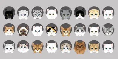 Векторный рисунок. Чёрный силуэт лежащей кошки с котёнком Stock Vector |  Adobe Stock