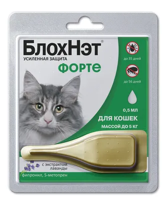 Болезни стареющих кошек - основные симптомы и профилактика | Royal Canin UA