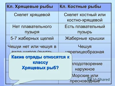 Биологическая игра домино \"Многообразие рыб. Отряды Костных рыб\"