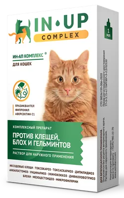 Обои Животные Коты, обои для рабочего стола, фотографии животные, коты,  котёнок, телефон Обои для рабочего стола, скачать обои картинки заставки на  рабочий стол.