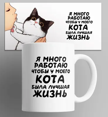 Картинки котят с надписью фотографии