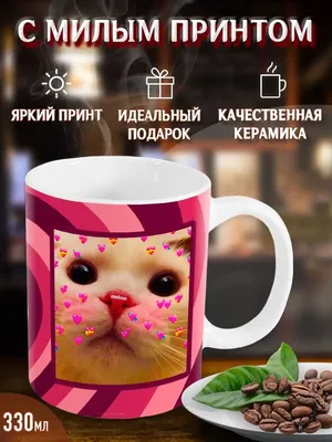 Котенок, сердечко, надписи, мятый лист | Wallpapers.ai