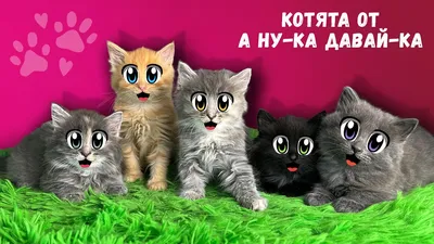 Купить Сухой корм Purina ONE® для котят с курицей и цельными злаками,  пакет, 750 г -официальный интернет-магазин Purina