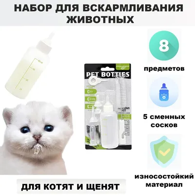 PRO PLAN ORIGINAL / Сухой корм ПРО ПЛАН для котят с курицей 400 г купить в  Москве по низкой цене 408₽ | интернет-магазин ZooMag.ru