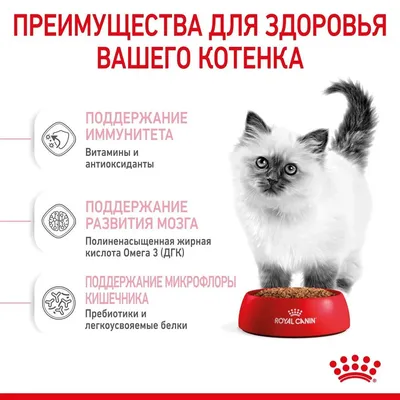 Купить Сухой корм Pro Plan® для котят от 1 до 12 месяцев, с курицей, пакет,  3 кг -официальный интернет-магазин Purina