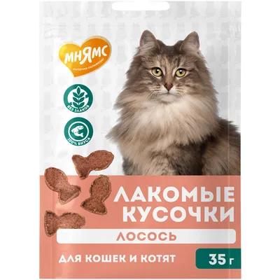 Консервированный корм для котят Probalance Kitten 1'st Diet с телятиной в  желе, 85г - Корма для собак