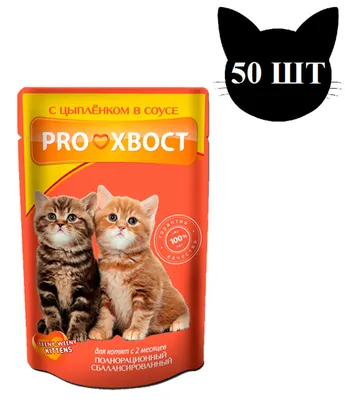 Корм для котят BRIT Premium Cat Kitten с курицей и лососем – купить онлайн,  каталог товаров с ценами интернет-магазина Лента | Москва, Санкт-Петербург,  Россия