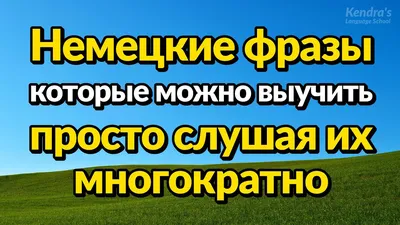 Мини-огород на подоконнике: топ-7 овощей и зелени, которые легко вырастить  дома