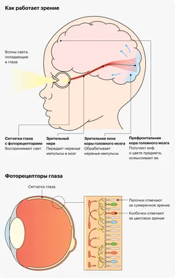 Платье Каждый Видит По Разному – Telegraph