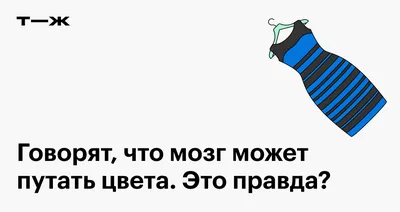 Платье которое все видят по разному! Черно-синее или бело-золотое |  Светлана Иванова | Дзен