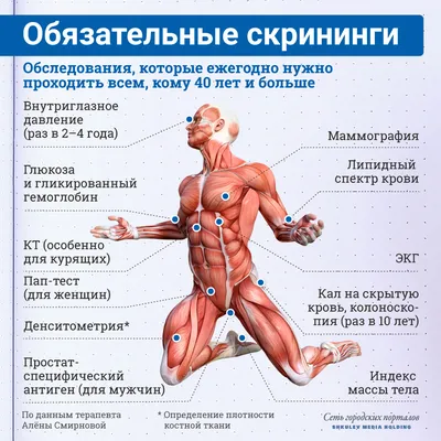 Сервисы, подписку на которые можно подарить