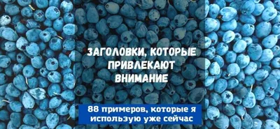 eLama - Сегодня на вебинаре вы узнаете, как создавать креативы и офферы, которые  привлекают внимание и приводят к конверсии. Вебинар начнется в 13:00,  регистрируйтесь: http://link.elama.ru/MOSP | Facebook