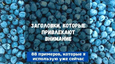 Тайны и загадки Казани: мистические места, которые привлекают внимание |  Мистические посиделки | Дзен