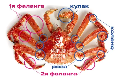 Икра Кета - Конечности камчатского краба L4 премиум