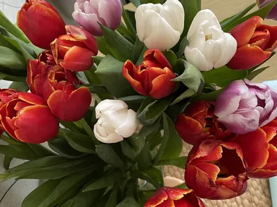 Цветы на 8 Марта, названия | Блог интернет-магазина АртФлора