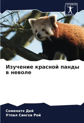 Жених из польского зоопарка - у московской красной панды появился друг -  26.11.2015, Sputnik Беларусь