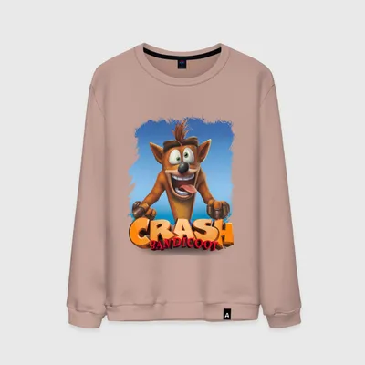 Записна Книжка CRASH BANDICOOT Crash And Coco (Креш Бандикут) — Купить на  BIGL.UA ᐉ Удобная Доставка (2022223628)