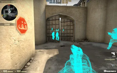 Counter-Strike: Global Offensive