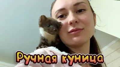 Шубы из куницы - купить шубу из меха куницы, фото и цены | DREAM'FUR