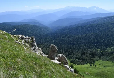 Кордон Лаго-Наки Кавказского заповедника, Адыгея