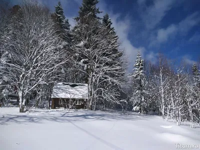 Лаго-Наки ⋆ Экскурсии Геленджика