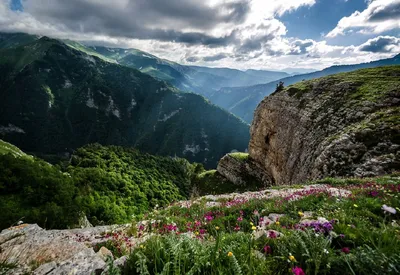 Плато Лагонаки Лагонакское нагорье, гостиницы - Лагонаки.ру