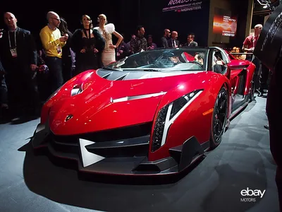 I've never seen a Lamborghini Veneno in white, I think...I think I'm in  love | Lamborghini veneno, Super cars, Lamborghini