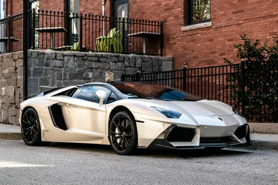 Lamborghini reveals the last V12-powered cars it will build before going  hybrid | Fox News