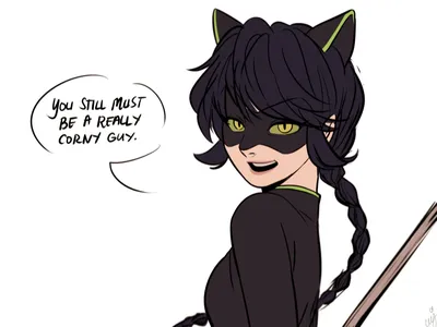 lady noire | Miraculous Amino