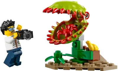 Buy LEGO City - Jungle Exploration Site (60161) from £200.96 (Today) – Best  Deals on idealo.co.uk