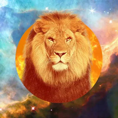 Leo Season 2023: When It Is, and How It Affects the Signs | POPSUGAR Smart  Living