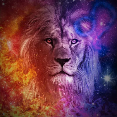 Leo Season 2022 Horoscope: What to Expect Based on Your Zodiac Sign | Them