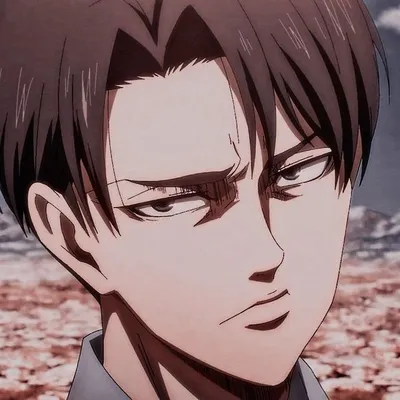 Levi Ackerman | Levi ackerman, Attack on titan anime, Fallen angel