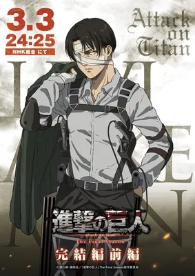 Удивленный Леви | Attack on titan levi, Levi ackerman, Attack on titan