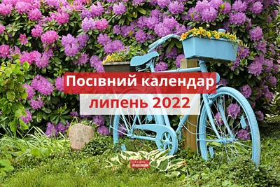 Посівний календар на липень 2023 року за днями — Укрaїнa